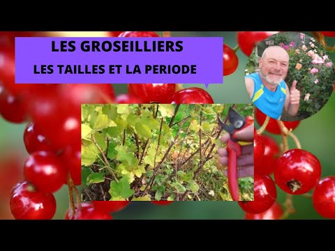 Quand et comment