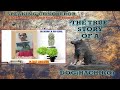 Hachiko: A Tale of Loyalty and Love