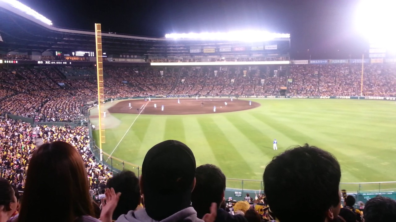 cheering-at-a-hanshin-tigers-game-youtube