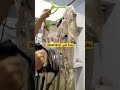 تنظيف وغسيل وكي بخار فستان سيتان فيروزي