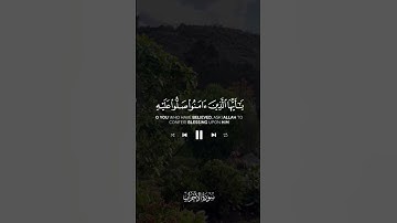 سورة الأحزاب | القارئ فيصل الهاجري