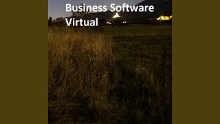 Business Software Virtual screenshot 3