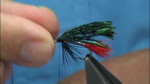 Tying the Alexandra (Variant) Wet Fly by Davie McPhail