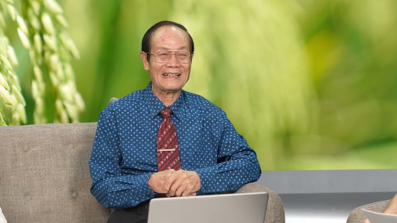 SỬ DỤNG ĐÚNG CHẤT ĐIỀU HOÀ SINH TRƯỞNG TRONG CANH TÁC CÂY LÚA