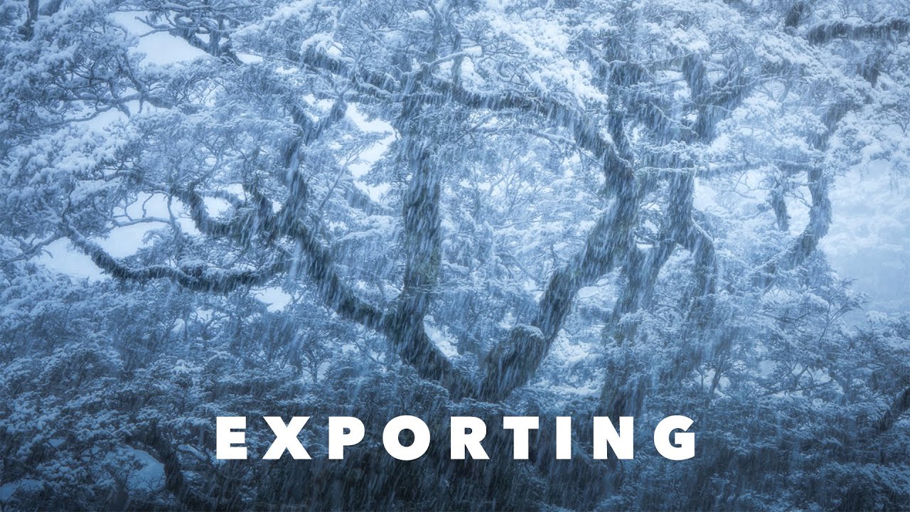 How To Save And Export For Web & Social Media - YouTube