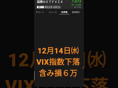 VIX指数下落で含み損６万、、