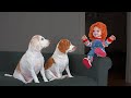 Chucky Pranks Dogs: Funny Dogs & Michael Myers Defeat Chucky