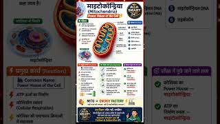 mitochondria: power house of the cell | functions of mitochondria| Science class 9 #shorts #cbse