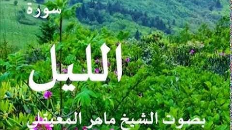 سورة الليل بصوت الشيخ/ ماهر المعيقلي 92