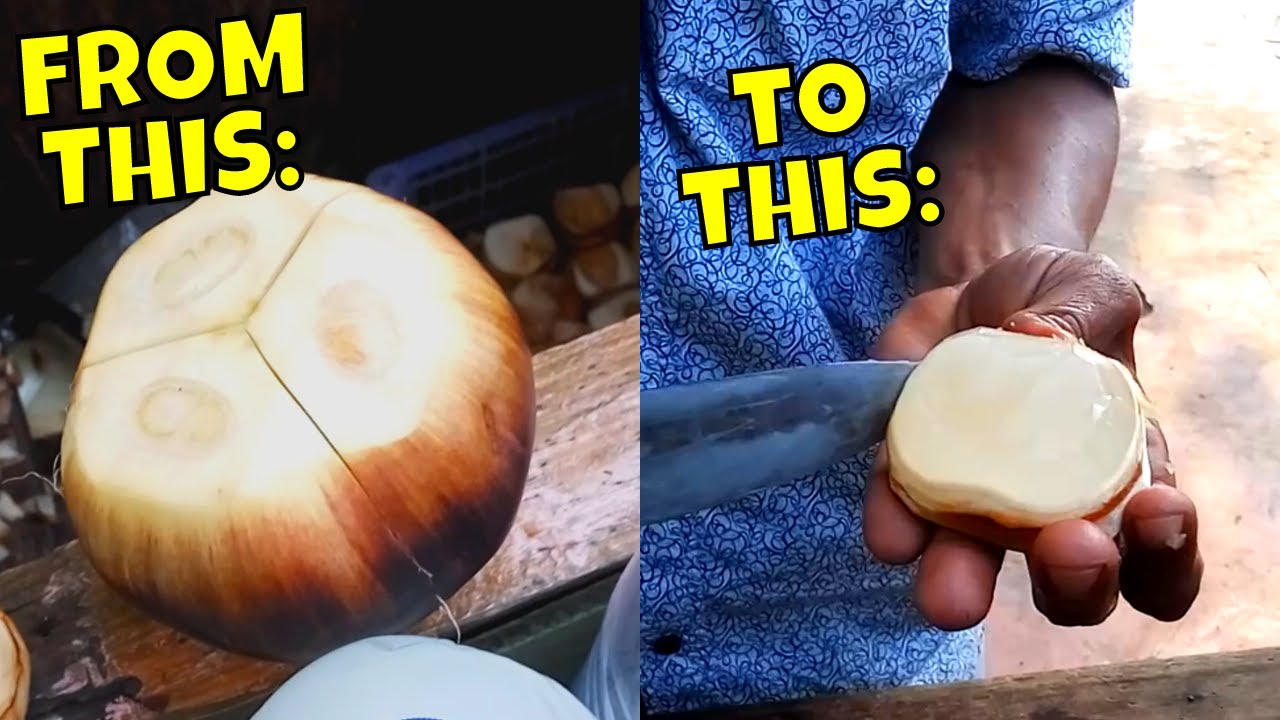 BUAH LONTAR LEGEND YANG BANYAK PENGGEMARNYA. SIAPA SUKA? 