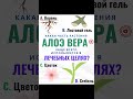 🌿✨ Какая часть растения Алоэ вера чаще всего используется в лечебных целях? #алоэ #алоэвера #травы
