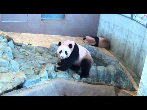 201307ステップ中の海浜