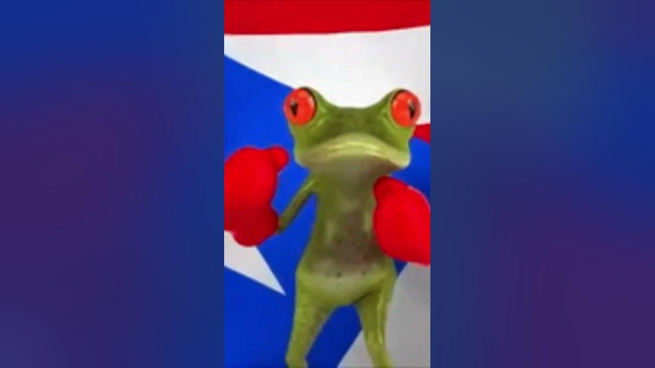🐸 el Coqui Frog #puertorico  #frogs #frogsounds