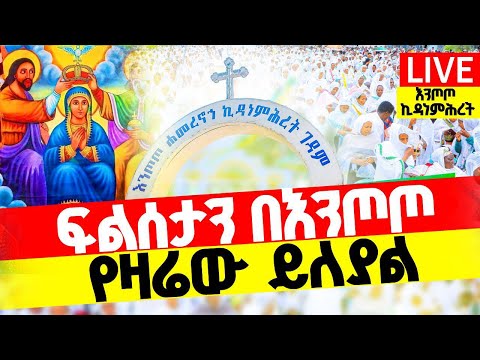 LIVE ደማቅ ምሽት ፍልሰታ ቀጥታ ከእንጦጦ ኪዳነምሕረት የዛሬው ይለያል 