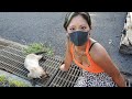 お尻のアナを嗅いで逝くシャム猫とか