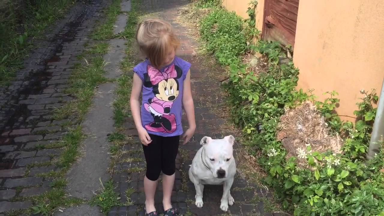 Young pack leader leadership quotes