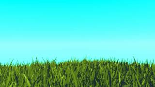 Leaves of Grass, Test animation. (read description!)