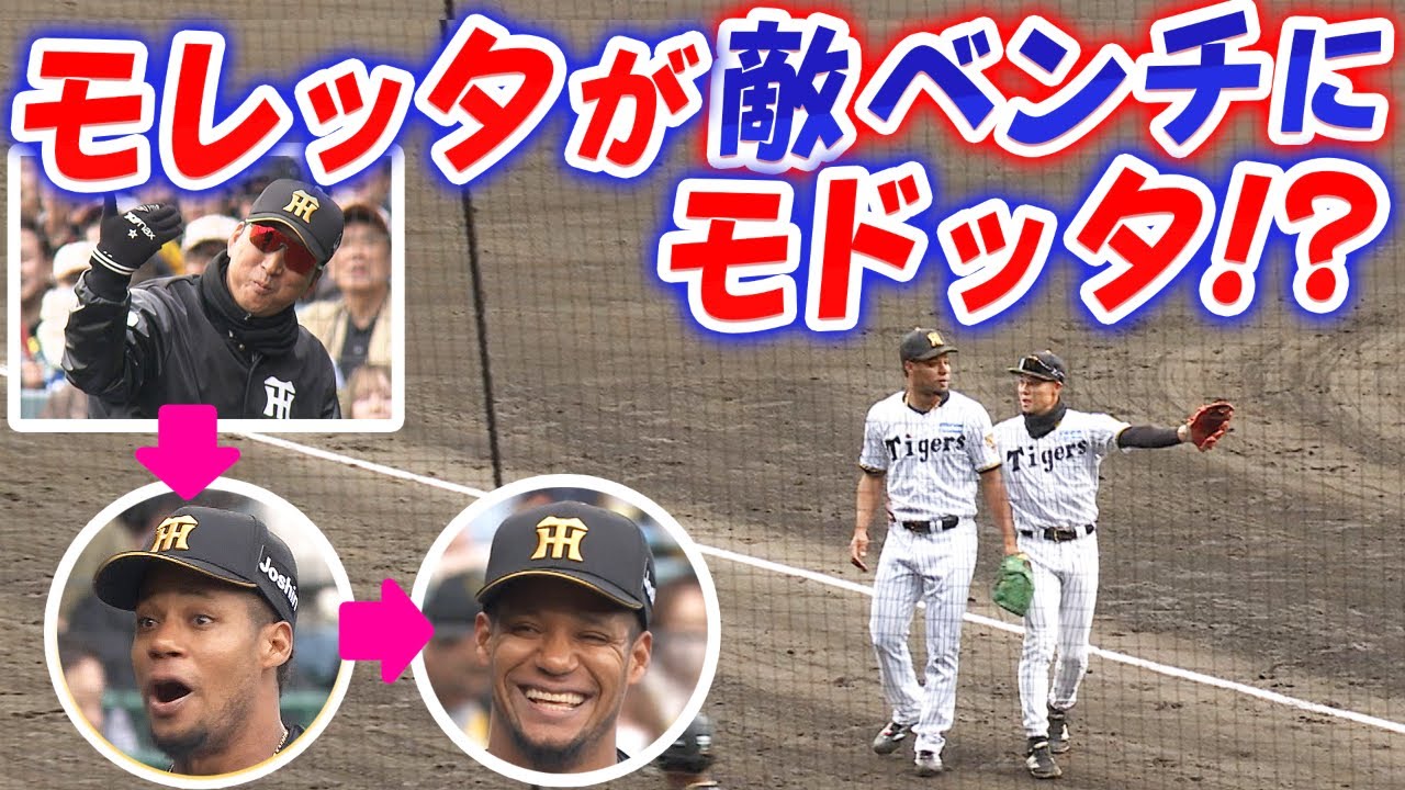 阪神タイガースここまで暴露せば殺される 笑