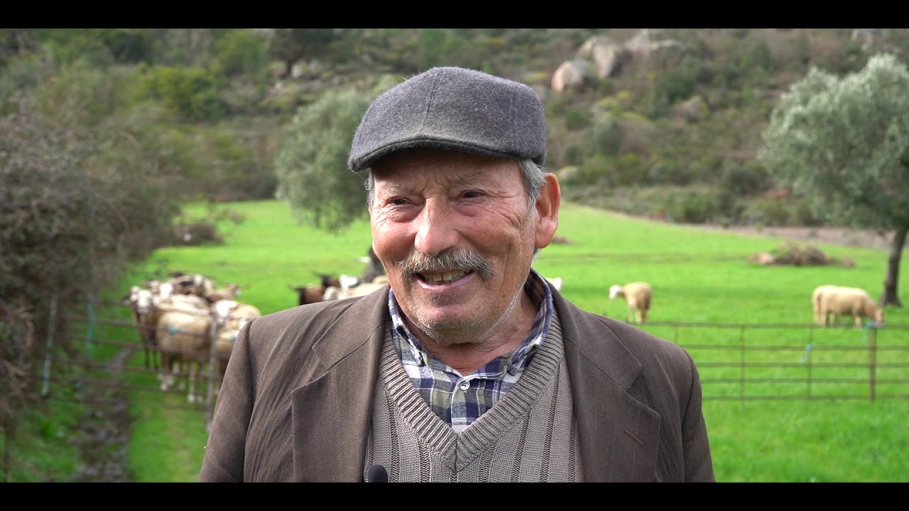 António Andrade |  Produtor de Queijo de Ovelha | Celorico com Gosto