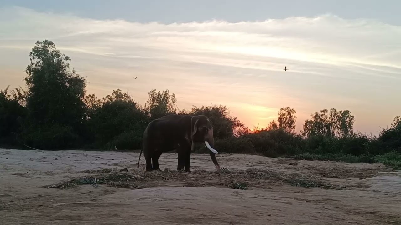 ถือว่าเป็นข่าวดีมาก