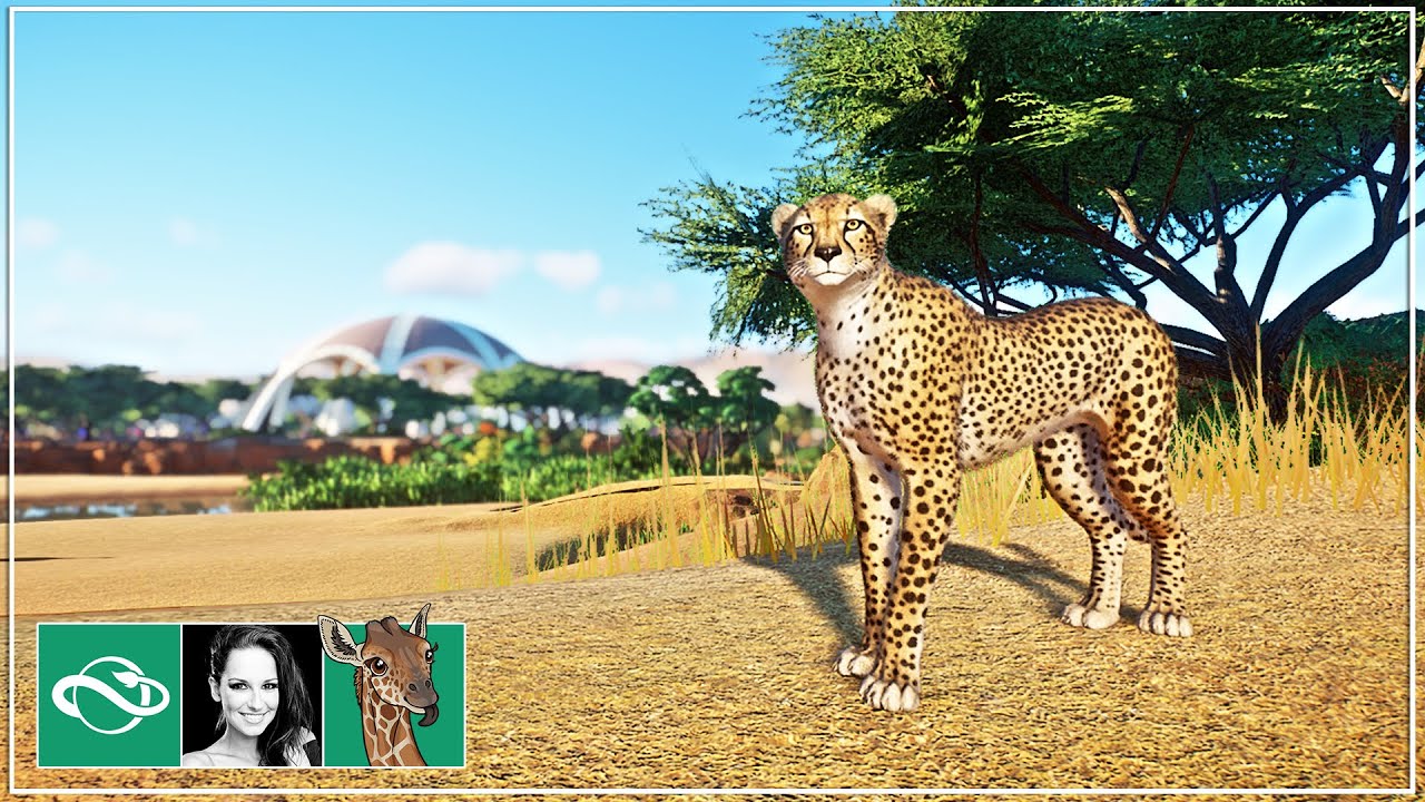 🦒 Cheetah Habitat | Wildlife Park | Planet Zoo | Inama Zoo | Ep. 6