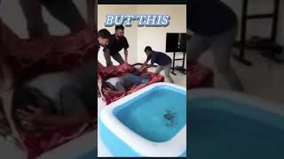 OTHER DOING PRANK🤡 VS MR INDIAN HACKER😈