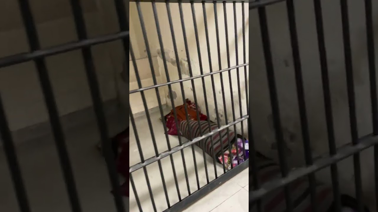 This is what a police thana in Delhi looks like! 🚔🇮🇳 | Inside View of Law & Order in Action