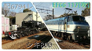 配6794レ　EF66 117+シキ800 南武線川崎新町駅通過