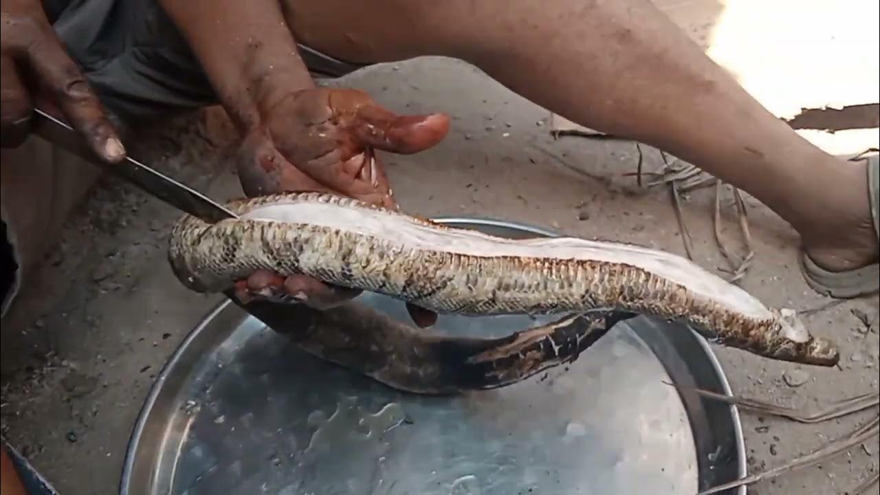 Cooking snake for meat - roasted python meat||local kitchen - YouTube