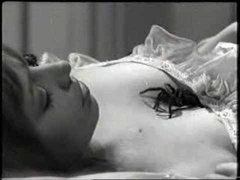 Tarantula Scene from 'This Night I Will Possess Your Corpse'