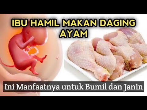 Kulit Ayam Ibu Hamil