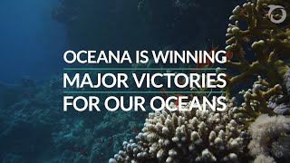 2023: A Year in Review | Oceana