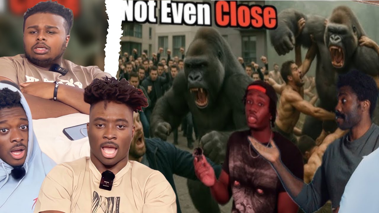 100 человек против 1 гориллы: все, что вам нужно знать о реакции!