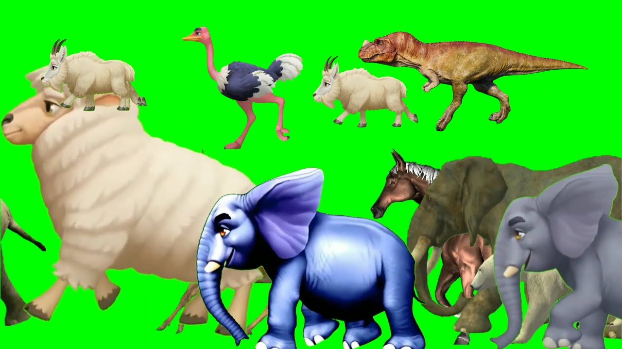 Forest animals stampede crossover mountain | Wild animal stampede green screen | Animal stampede