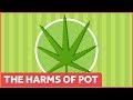 The Harms of Marijuana - YouTube