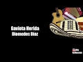 Gaviota Herida | Diomedes Díaz | Letra | Karaoke