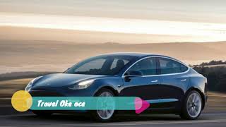 Elon Musk says Tesla will limit color options to simplify production