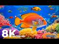 8K Ocean Paradise | Perfect Coral Reef Fish &amp; Calm Musics