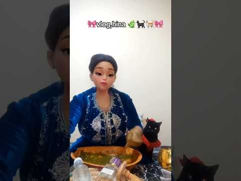 كلست نحني سبقتني وتسلخ فولادها سوكي ليا لعواشر هادي Catsoftiktok Minivlog اكسبلور Cat 