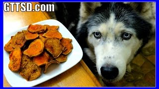 Click show more! subscribe here: http://bit.ly/subtogonetothesnowdogs
full recipe
http://www.gonetothesnowdogs.com/diy-sweet-potato-dog-treats-gluten-f...