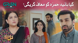 Dil Manay Na | Kya Hania Aur Hamza ki Shadi Ho gi? Madiha Imam l Aina Asif | Green TV