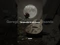 Bir gül olsanda/Aydın Alsancak/#edit#lyrics#editvideo#müzik#shorts#keşfet#viral#spotify#music#saz