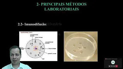 Para que serve a imunoprecipitação?