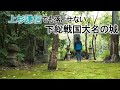 【臼井城 解説】上杉謙信が落城させられなかった千葉県の大城郭!下剋上でのし上がった戦国大名が拡張したお城を解説!