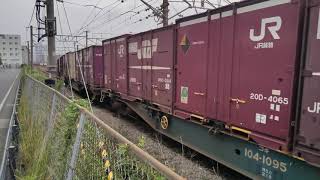 9月1日新鶴見北側 #吹田A3運用 #1084レ EF66-127 #EF66100番台 #EF66サメ #EF66127