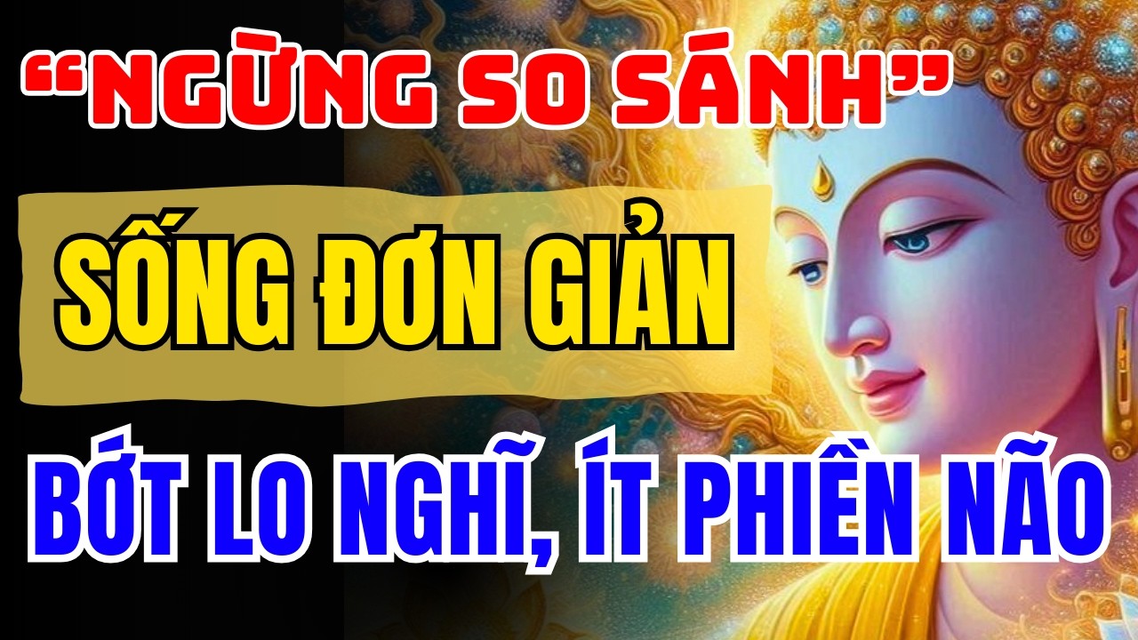 Nghe Phật Dạy Mỗi Tối 20 Phút: Sống Đơn Giản, Ít Lo – Cuộc Đời Tự Nhẹ
