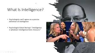 Chapter 7 - Thinking, Reasoning, Language