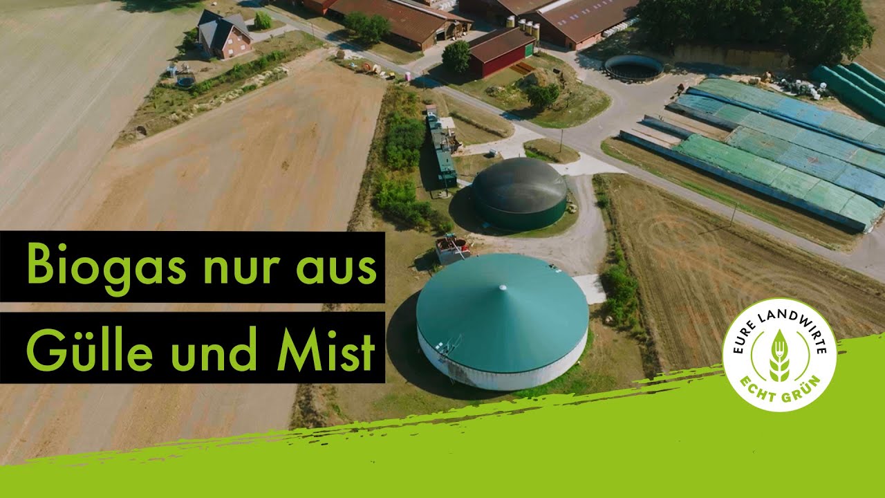 Biogas nur aus Glle und Mist