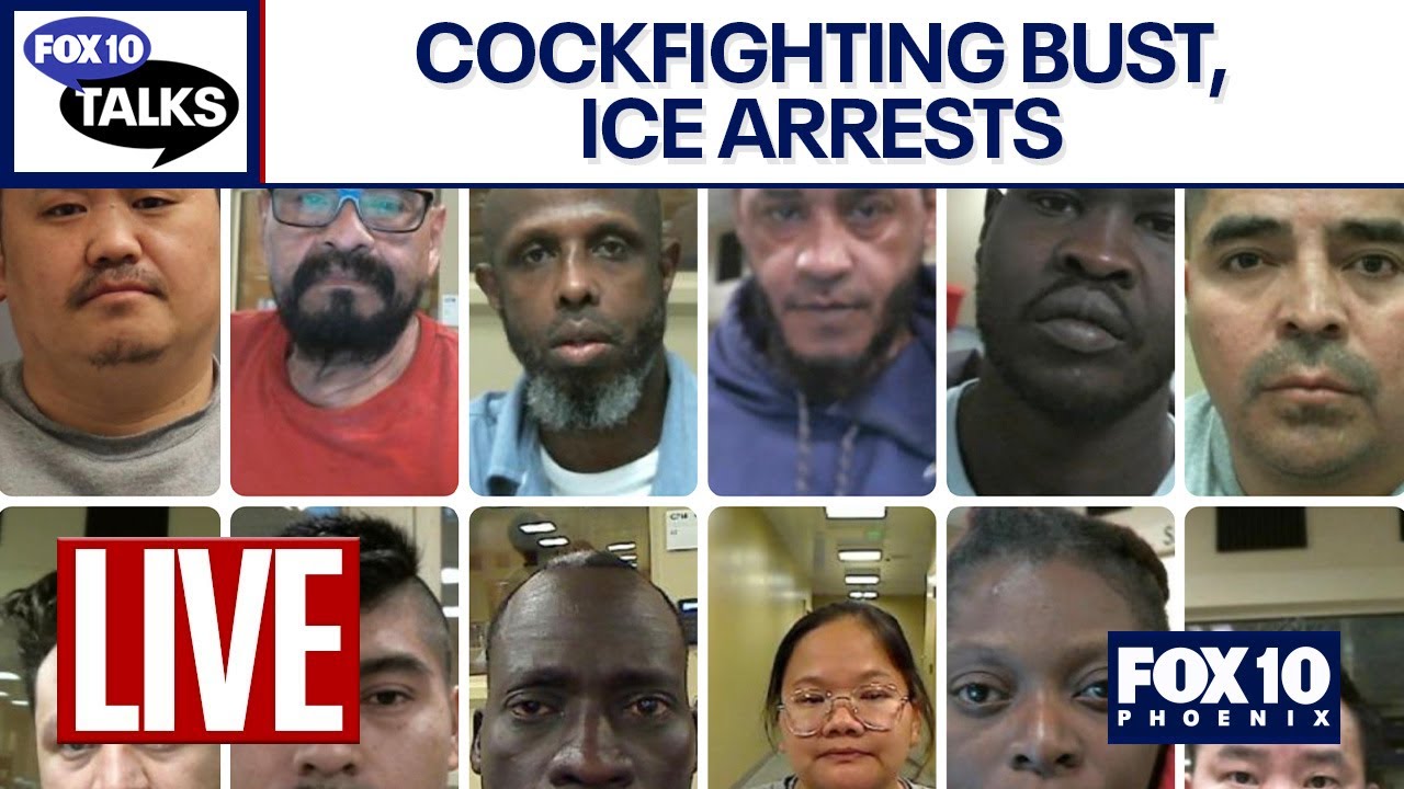 🔴 LIVE: ICE tensions increase across the U.S., cockfighting bust in Arizona | FOX 10 Talks