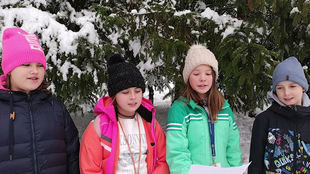 PROSLAVA OB DNEVU SAMOSTOJNOSTI IN ENOTNOSTI - OŠ Antona Tomaža Linharta Radovljica, 24. 12. 2021